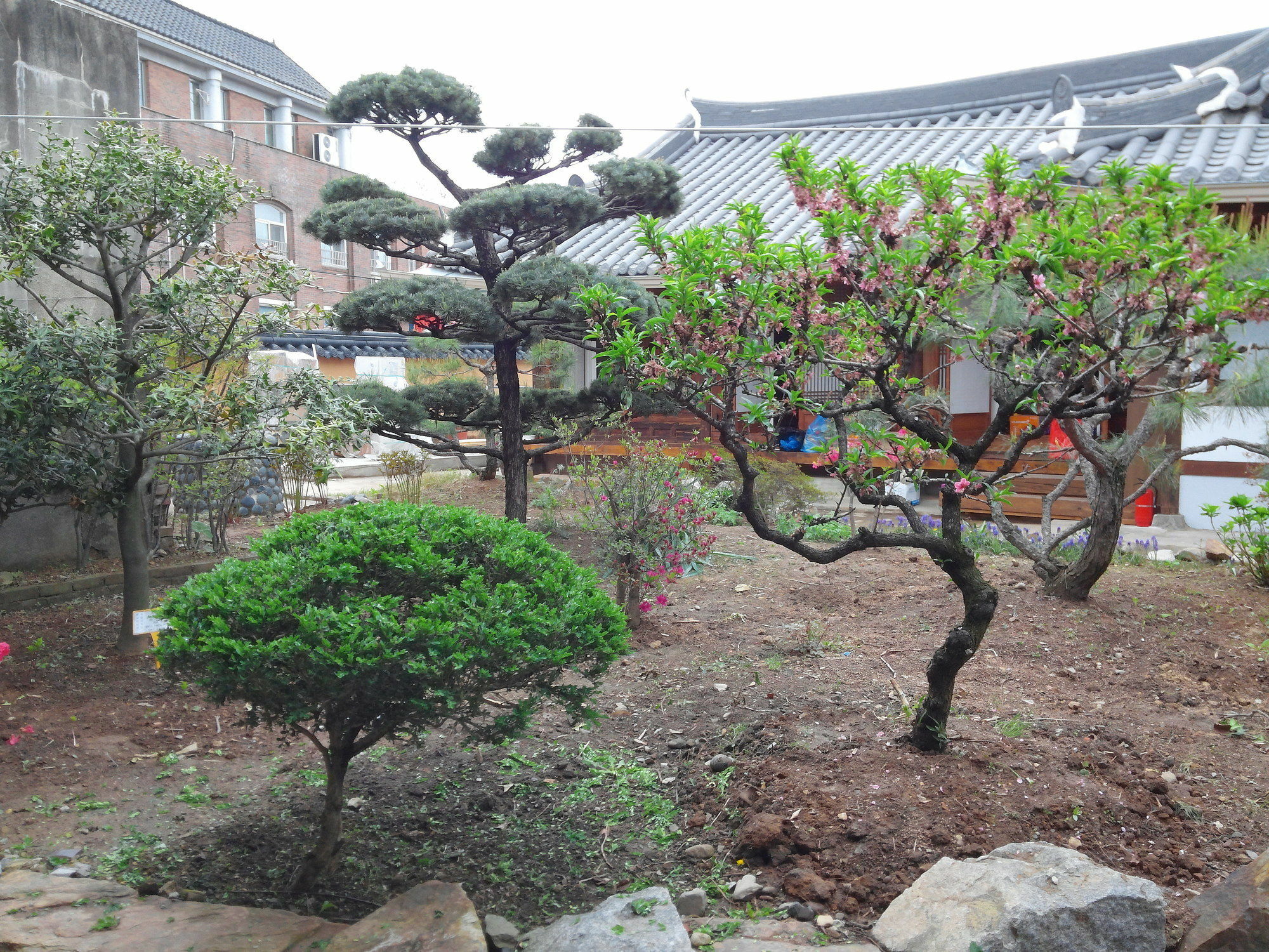Sodamwon Jeonju Eksteriør billede