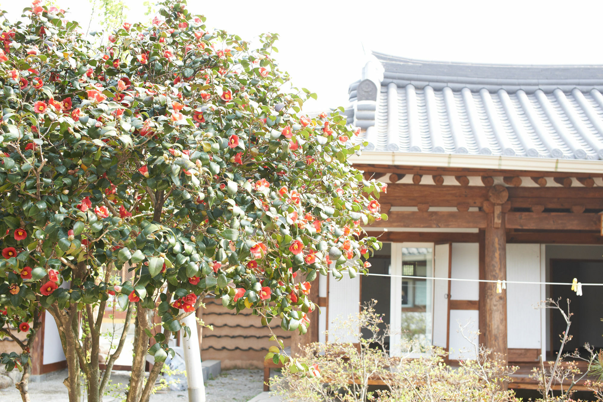 Sodamwon Jeonju Eksteriør billede