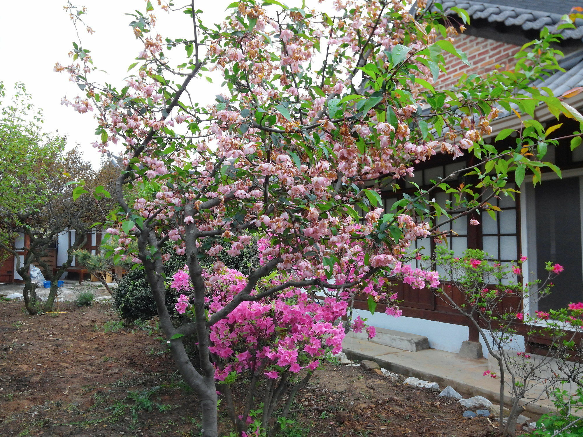 Sodamwon Jeonju Eksteriør billede